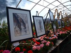 art show image